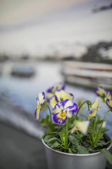 Il vicoletto di Santa Lucia