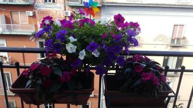 A little house in the city centre Naples