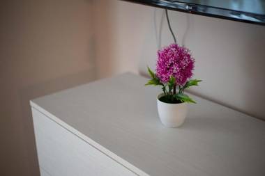 Privilege Chiaia by Dimorra