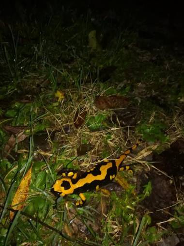 Il casale al Lavaggio