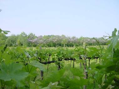 Agriturismo Radaméz