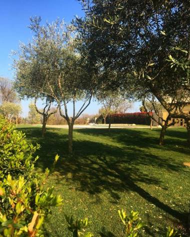 Seregnér Agricamping - Adults Only 18 - solo piazzole libere per camper tende e roulotte