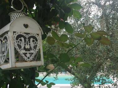 Fiordisole Holiday Home