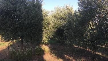 Casa Vacanze SoleLuna