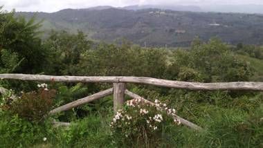 Holiday home Belvedere