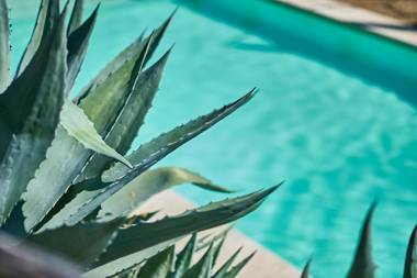 Ventena Vecchia antico frantoio