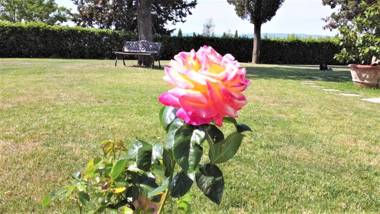 Tenuta Barbadoro agriturismo apartment