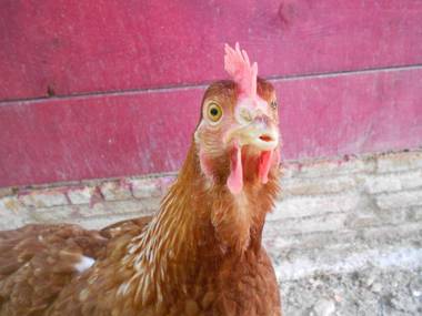 L'Isola Che Non C'era