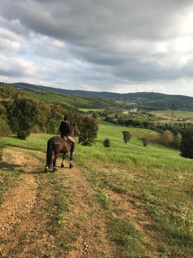 Agriturismo San Ottaviano