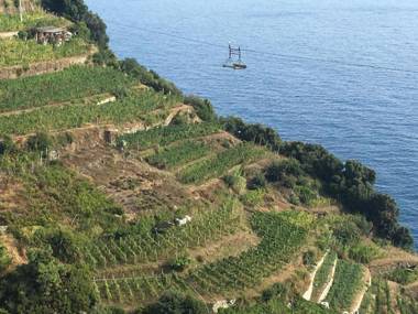 Zia Letizia Bed And Wine