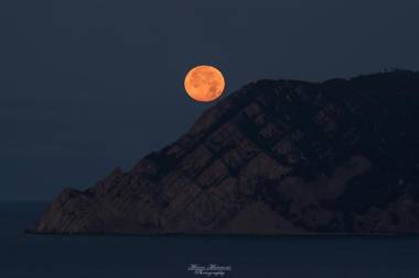 Al mare (Guesthouse)