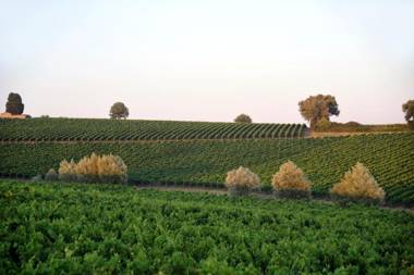 Fattoria Lornano Winery