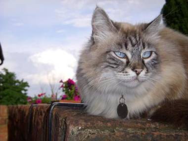 La Casa Delle Querce