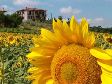 B&B Il Girasole