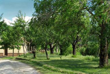 Agriturismo Il Casalone