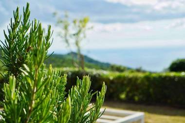 B&b Il Piccolo Paradiso