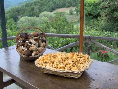 La Cittadella Dei Monti Sibillini