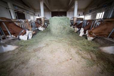 La Fattoria dei Sibillini