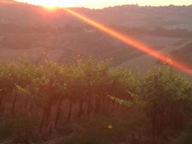 Precious Villa Italy just few minutes drive from Pesaro beach