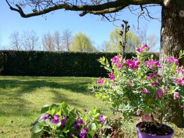 Bed and Breakfast Miotto