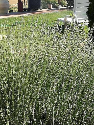 Agriturismo La Spiga