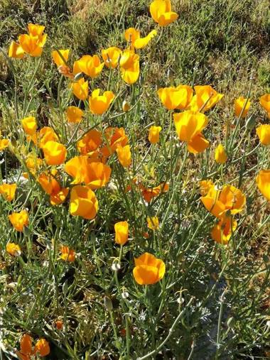 Agriturismo La Spiga