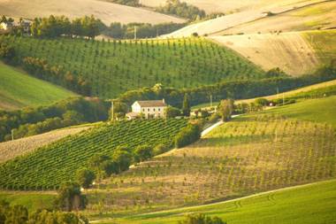 6 bedrooms villa with private pool furnished garden and wifi at Montecarotto