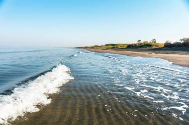 Podere Giovanni Olivo