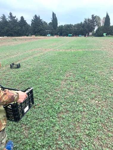 Podere Giovanni Olivo