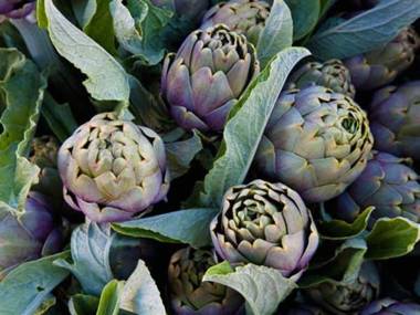 Podere Giovanni Olivo