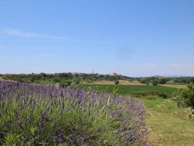 Spacious Farmhouse in Montalto di Castro with Shared Pool