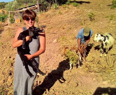 Agriturismo Casebianche