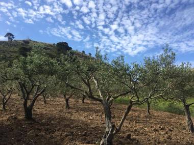 Agriturismo Casebianche