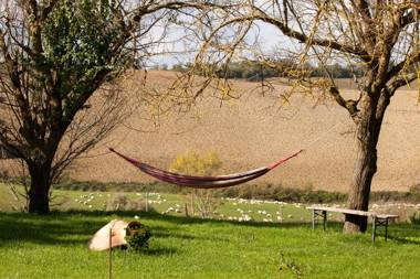 Wine Resort Colsereno