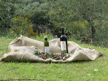 Azienda Agraria La Casella