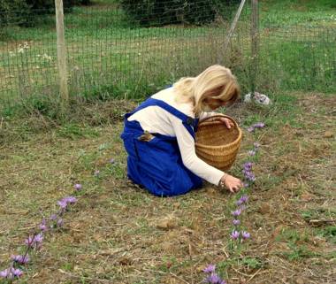 Azienda Agraria La Casella