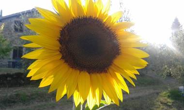 Casa Vacanze Porta Vecchia