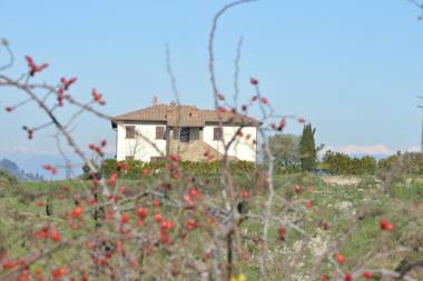 Agriturismo Corte Dainelli