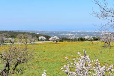 Gorgo Rinaldi - Locazioni brevi