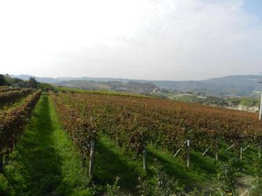 Agriturismo Bianconiglio