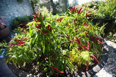 Felicin - Palazzo Boeri Panoramic Suites