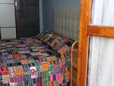 House Agave by Holiday World