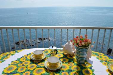 House Agave by Holiday World