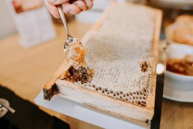 Hotel Villa Patriarca