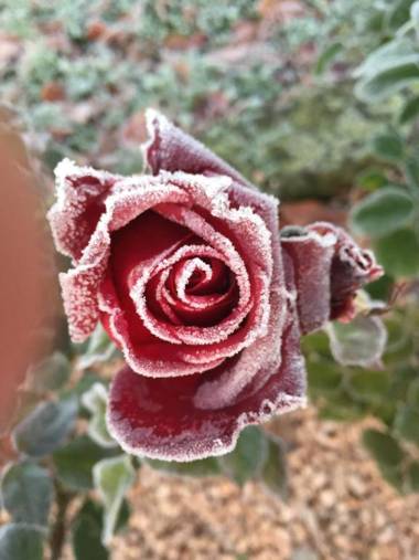 Pool & Garden Il Giardino Di Olga with free parking