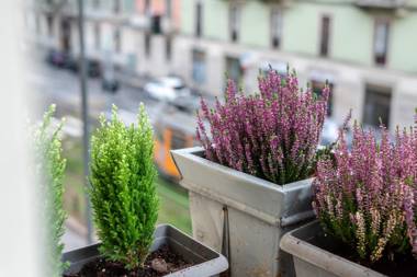 Urban District Apartments - Milan Lancetti Style