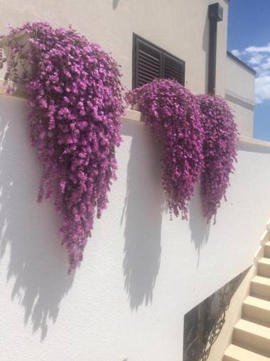 All'ombra del Carrubo - Metaponto