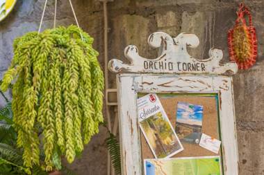 Orchid Corner Guesthouse