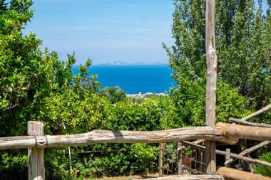 My Place Home & Garden