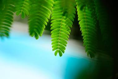 Villa Verdi Apartments